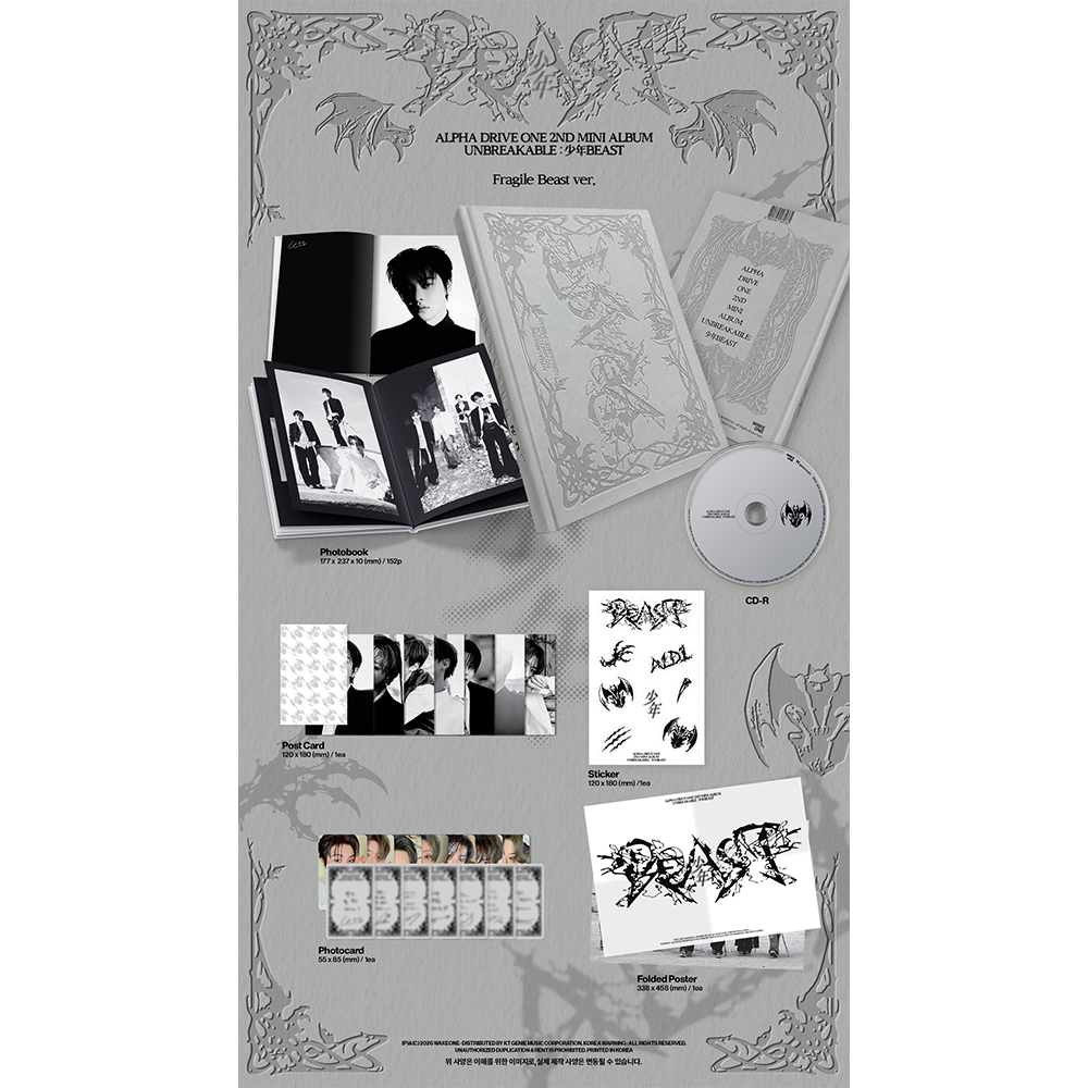UNBREAKABLE : 少年BEAST (Fragile Beast Ver.) detail 2